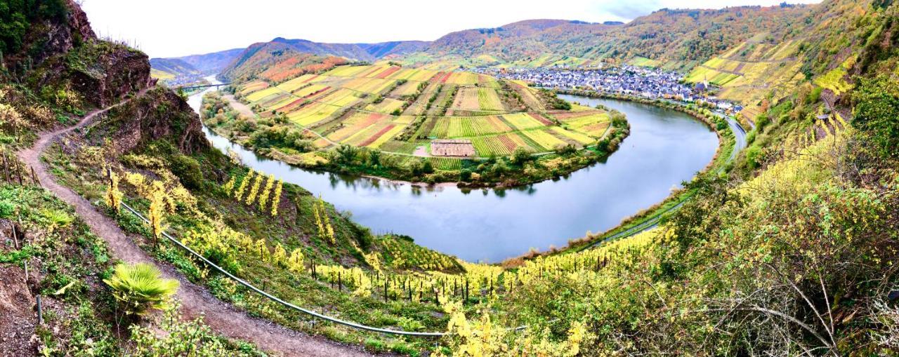 코블렌츠 Haus Am Ufer Mit Rheinpanoramablick 아파트 외부 사진