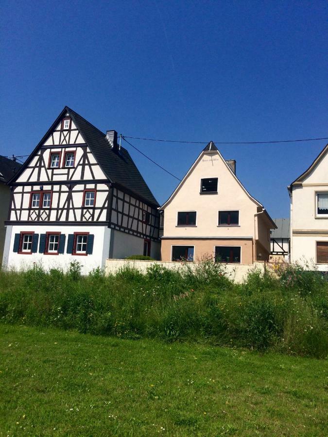 코블렌츠 Haus Am Ufer Mit Rheinpanoramablick 아파트 외부 사진